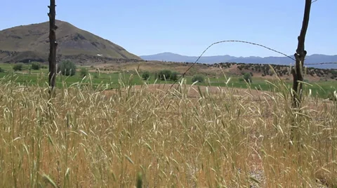 Dry grass blows in strong wind with old fence, hills, fields and sky Stock Footage 39485568