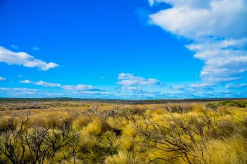 Dry grass with blue sky2 Stock Photos