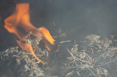 Dry grass is burning. For background Stock Photos