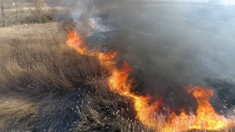 Dry grass burning. Climate change and ecology Video stock 126790500