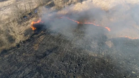 Dry grass burning. Climate change and ecology Video stock 126791760