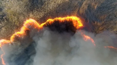 Dry grass burning. Climate change and ecology Video stock 126820569