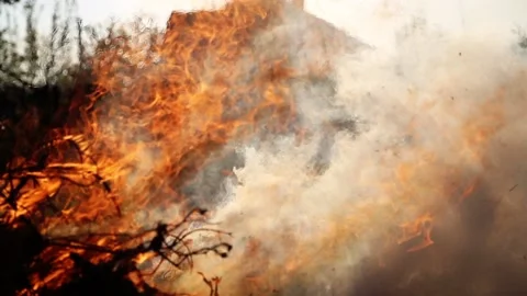 Dry grass burning in the field Stock Footage 89415861