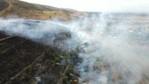 The dry grass is burning. Video stock 245000323