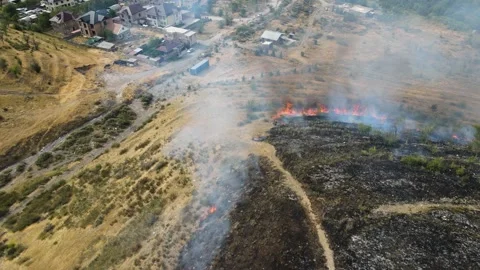 The dry grass is burning. Video stock 245000371