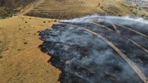 The dry grass is burning. 스톡 동영상 245000390