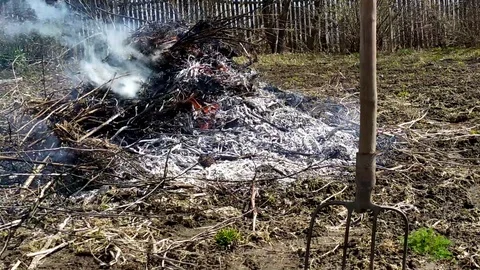 Dry grass burning in a garden plot. Spring work in the garden. Site preparati Stockbeeldmateriaal 129199119