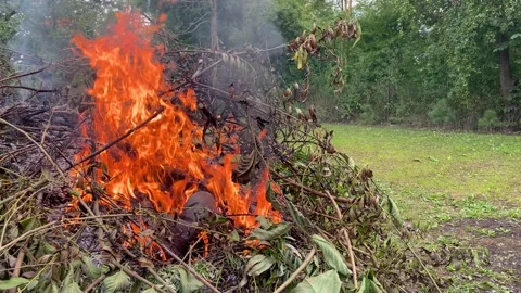 Dry grass burning in a garden plot. Spring work in the garden. Site preparation Stockbeeldmateriaal 159993667