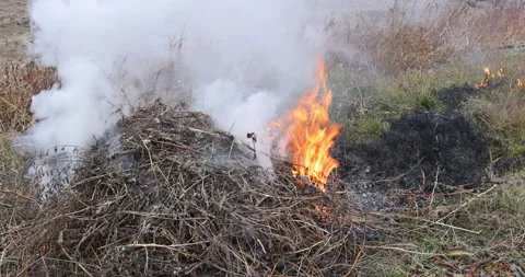 Dry grass burning in a garden plot Stock Footage 165952893