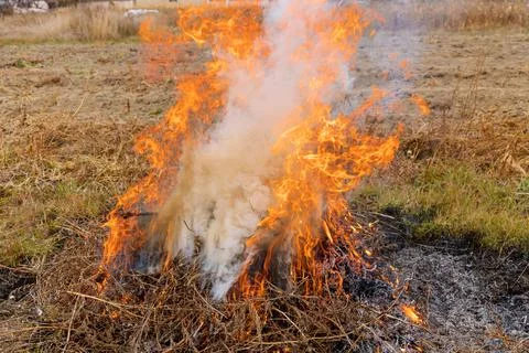 Dry grass burning in a garden plot Foto stock