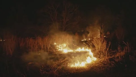 Dry grass is burning in the meadow Stockbeeldmateriaal 272276021