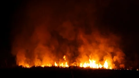 Dry grass burning at night. Stock Footage 86888264
