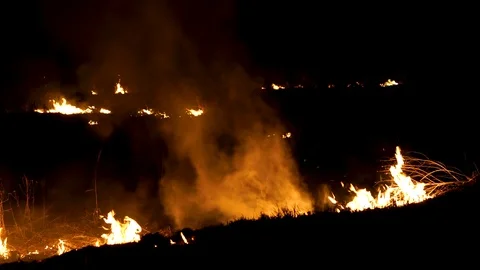 Dry grass burning at night Stock Footage 106100724