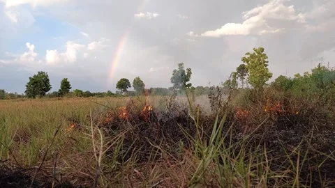Dry grass burning in rural field with beautiful double rainbow in background Stock-Footage 335722842