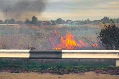 Dry grass is burning on the side of the road. Ecosystem and environmental pro Stock Photos