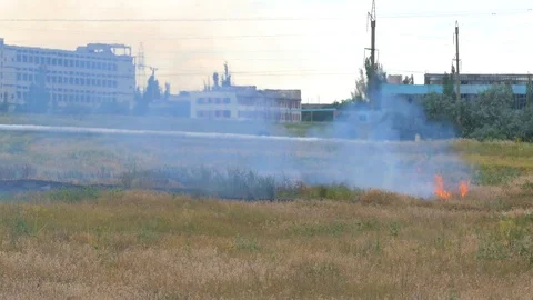 Dry grass burns on the field 動画素材 123575788