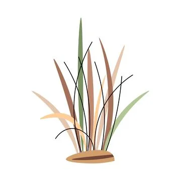 Dry grass bush on white background. Plant of sandy desert, savanna. African p Stock Illustration