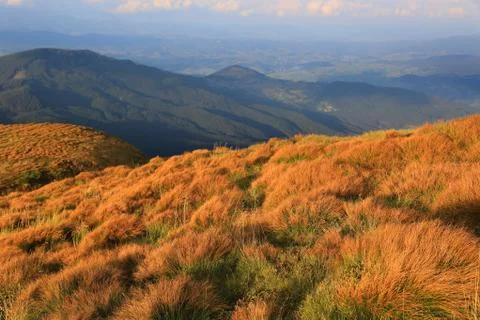 Dry grass in Carpathians Stock Photos