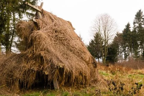 To dry grass in conventional method Foto stock