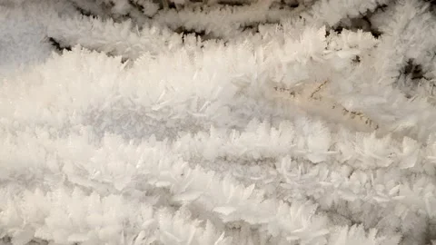 Dry grass covered with ice crystals Stock Footage 146748108