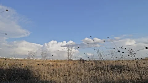 Dry Grass Field and Moving Clouds – Tranquil Landscape 4K Time-Lapse Stock Footage 320083729