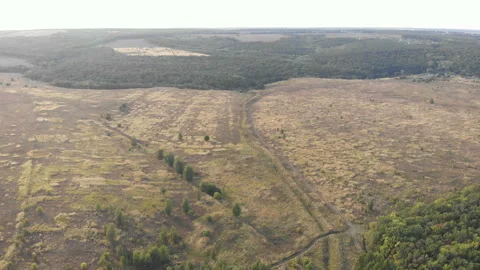 Dry grass field Stock Footage 147150499