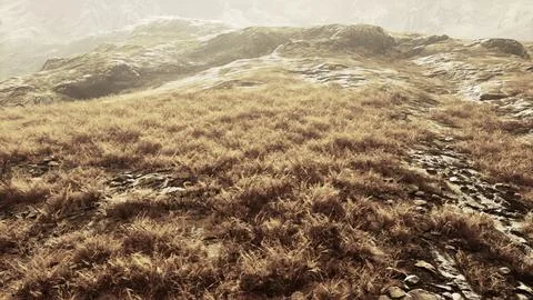 Dry grass fields and mountains in Nepal Illustrazione stock