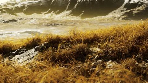 Dry grass fields and mountains in Nepal Illustrazione stock
