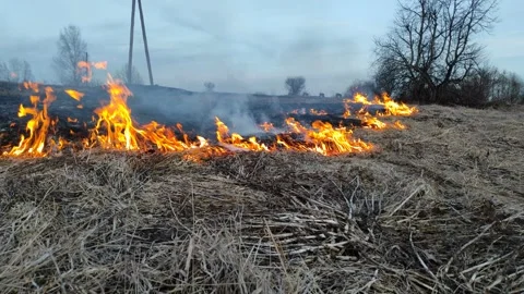 Dry grass on fire (2) 4K 30 FPS Stock Footage 268485386