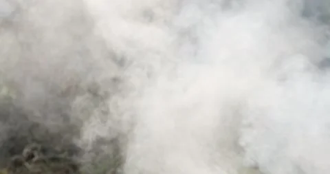Dry grass on fire White smoke gushed out. Stock Footage 154857174