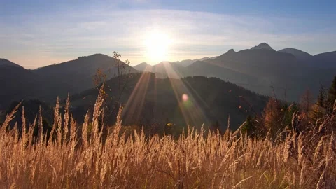 Dry grass in golden light, the rays of the sun illuminate the grass. Mountain Stock Footage 169600017