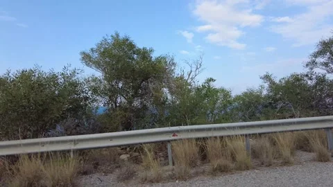 Dry grass, green trees, blue sea and turquoise sky. Stock Footage 234543523