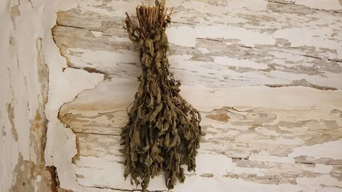 Dry grass hanging on the wall Stock Footage 122452466