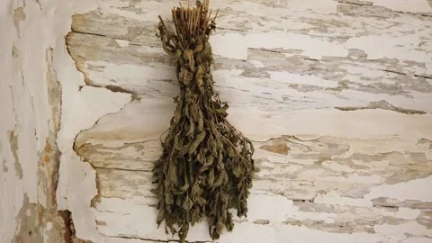 Dry grass hanging on the wall Stock Footage 133792024