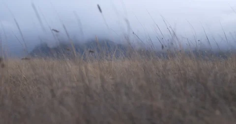 Dry grass on a hill in the background of mountains in the clouds Video stock 88392587