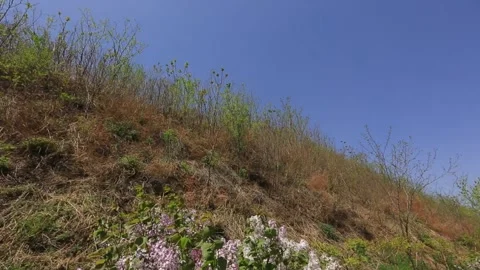 Dry Grass Hillside Blue Sky China 動画素材 337180712