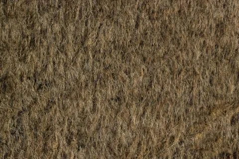 Dry grass land Stock Photos