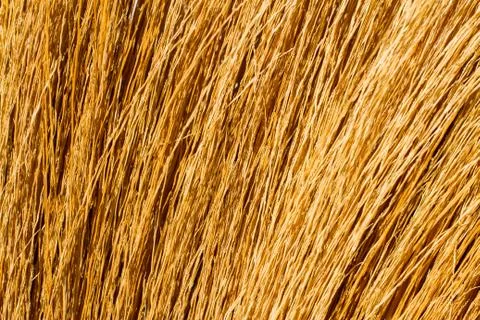 Dry grass line Stock Photos