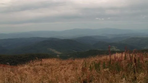 Dry grass in the mountains Stock Footage 68943863