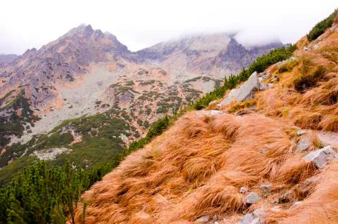 Dry Grass in the Mountains Stock Photos