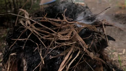 Dry grass or rice straw burning with puffs of smoke in the field Stock Footage 287936800