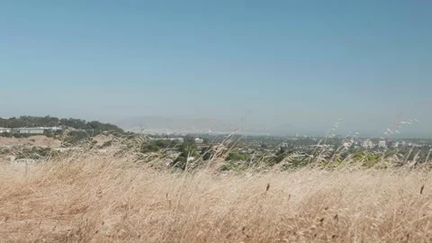 Dry grass panoramic view of San Mateo CA, Sugarloaf Mountain Laurelwood Park Stock-Footage 134853073