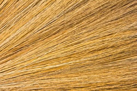 Dry grass Stock-Fotos