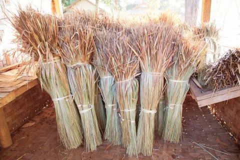 Dry grass Stock Photos