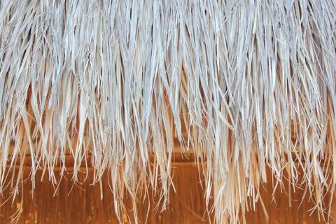Dry grass Stock Photos