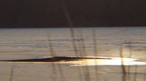 Dry grass, river Stockbeeldmateriaal 45531137