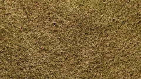 Dry Grass Spin Video stock 77630942