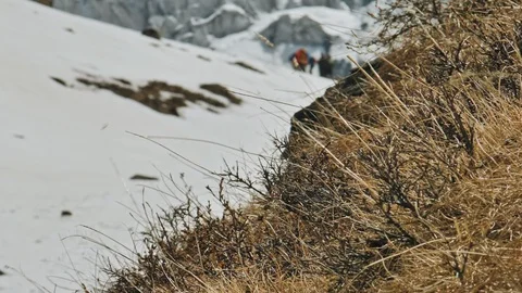 Dry grass sway on wind, snow mountain slope with blur people silhouettes, Nepal Stock Footage 124677656