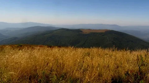 Dry grass swaying on a background of mountains Stock Footage 69084113