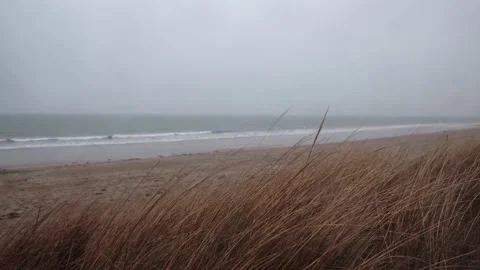 Dry grass sways in the wind against the background of the empty coast of th.. 스톡 동영상 235023395